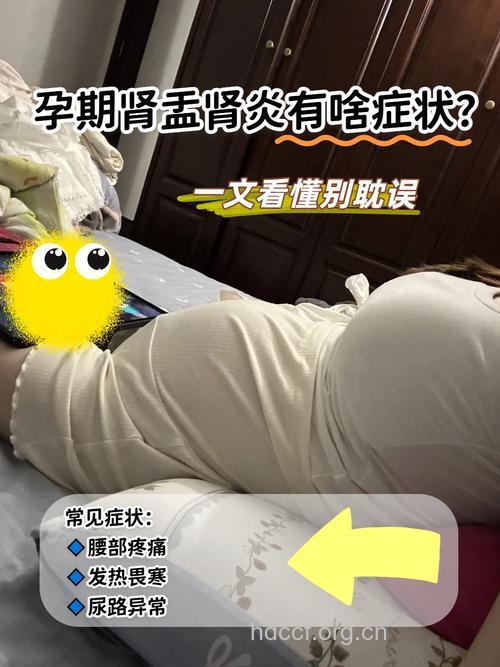 肾盂肾炎的女性能否怀孕