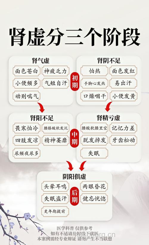 中医对肾虚的认识