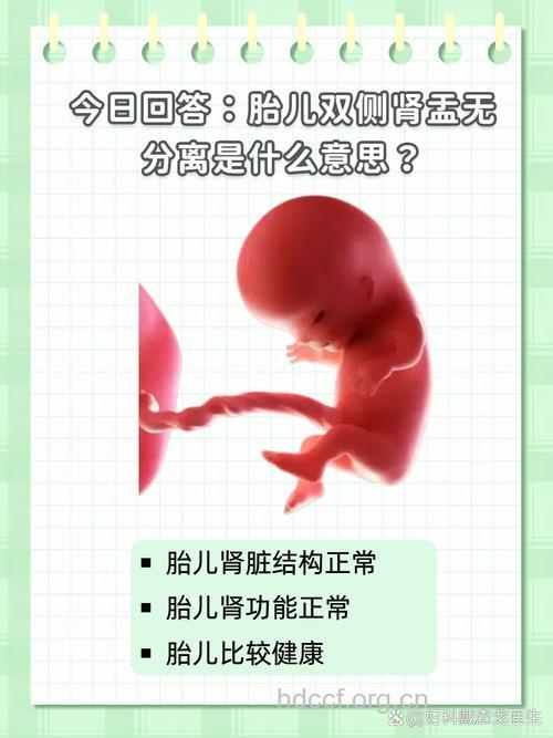 肾盂肾炎为何钟情准妈妈