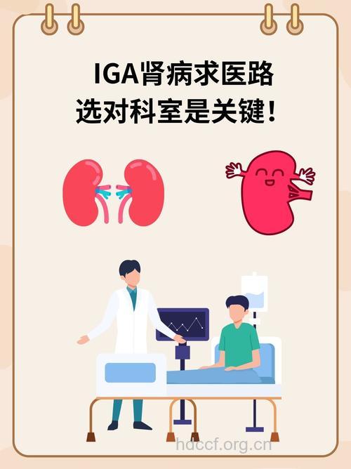 治疗IgA肾病的漫漫长路