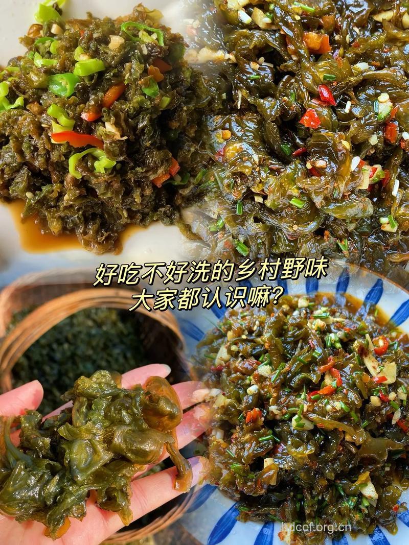 地皮菜怎么吃 凉拌肉炒原味爽脆
