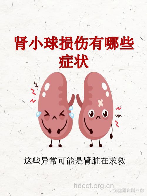 干扰素有可能加重肾小球病变