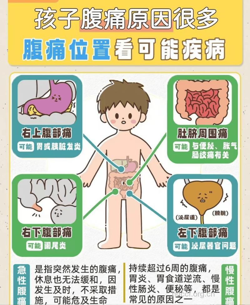 宝宝肚子痛应警惕肾病