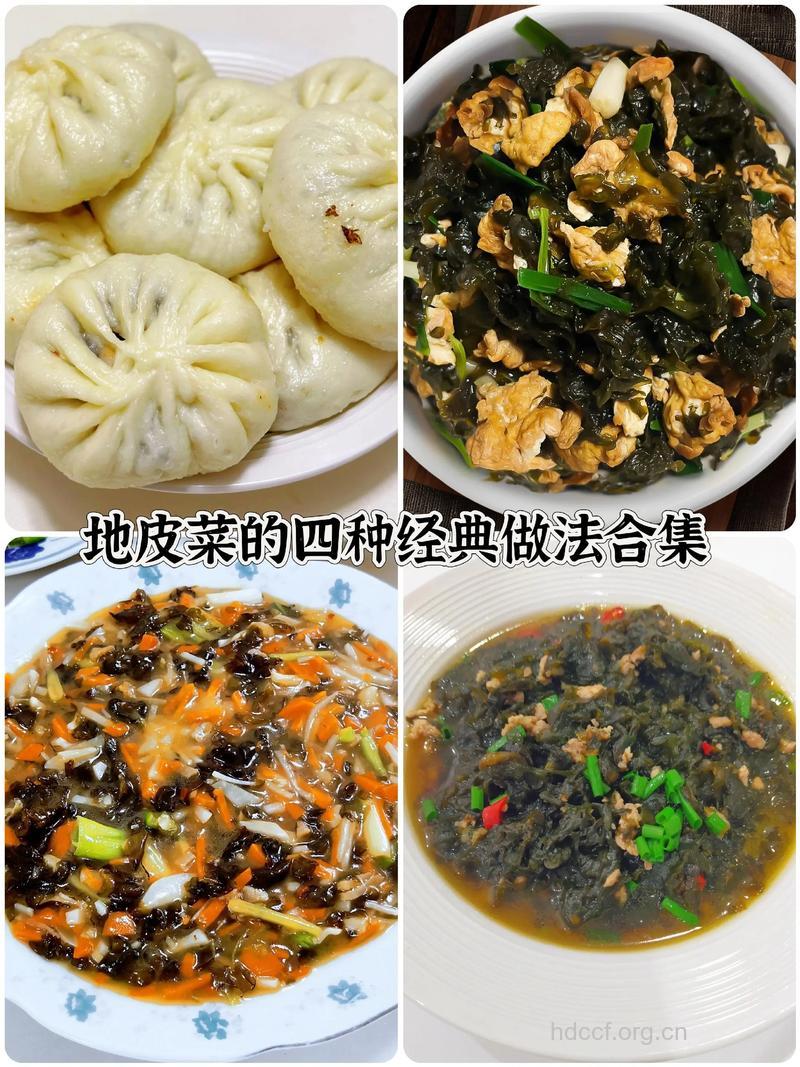 孕妇怎样吃地皮菜 推荐三种做法