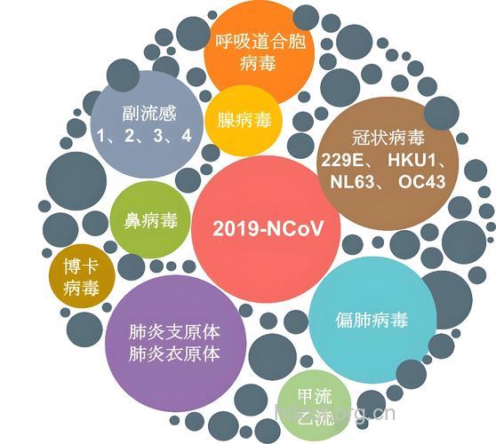 呼吸系统感染的种类和病原微生物