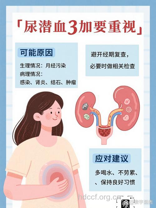 潜血及对肾的危害