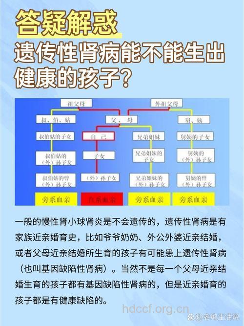 有些肾病会遗传