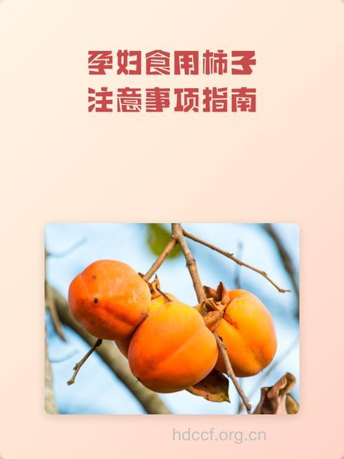 孕妇吃柿子好吗 详解其主要功效