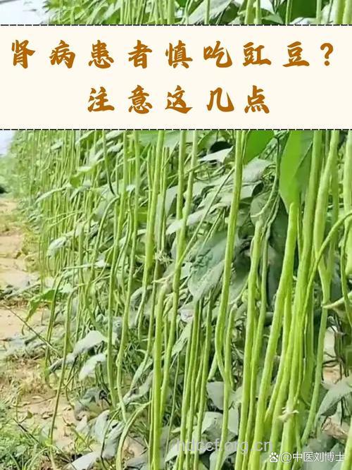 肾病患者慎食豆类