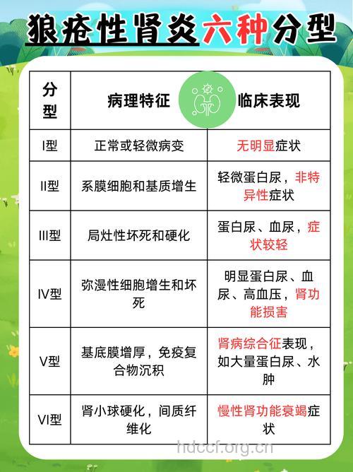 关于狼疮性肾炎的基本常识