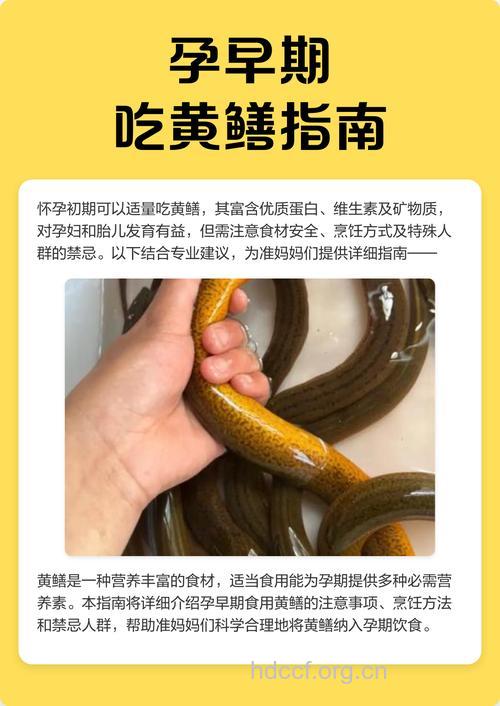 孕妇能吃黄鳝吗 推荐三款做法