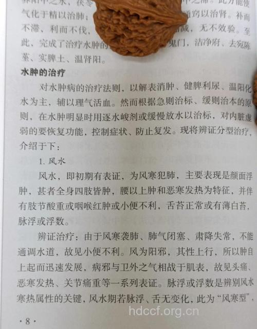 中医分型辩证治疗急性肾炎