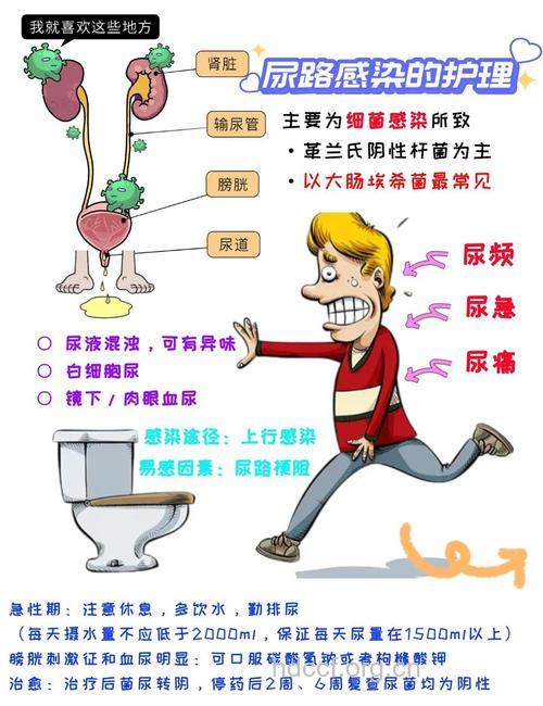 尿路感染多途径