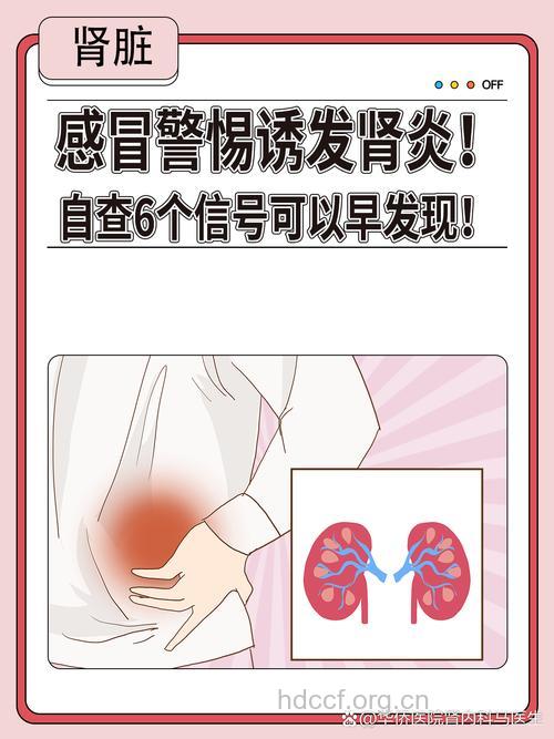 感冒不及时治疗导致肾炎