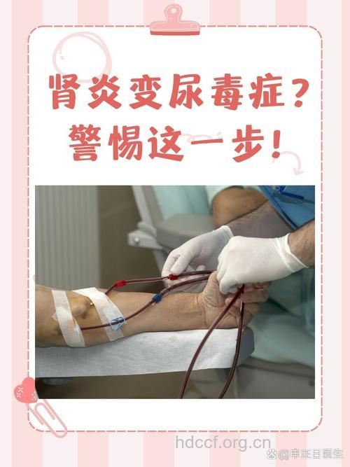 肾盂肾炎治疗不当转尿毒症