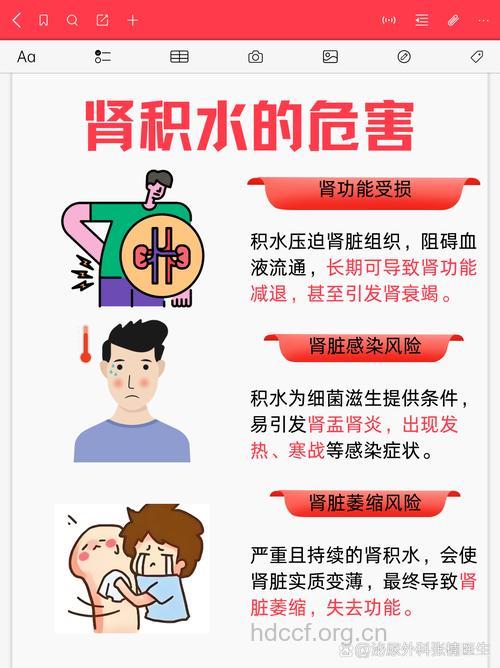 肾积水的症状表现有哪些