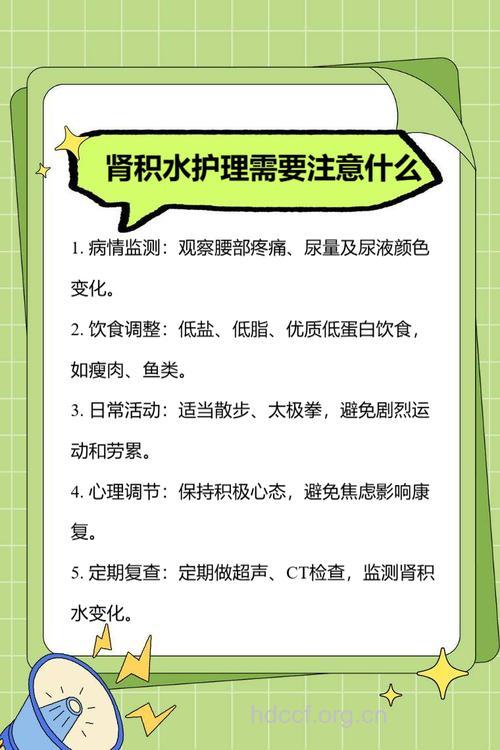 肾积水的治疗与护理重点