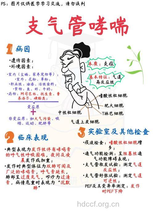 如何探究小儿哮喘发病内因