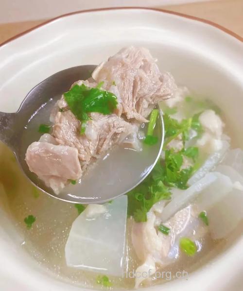 萝卜炖羊排，祛病又养生