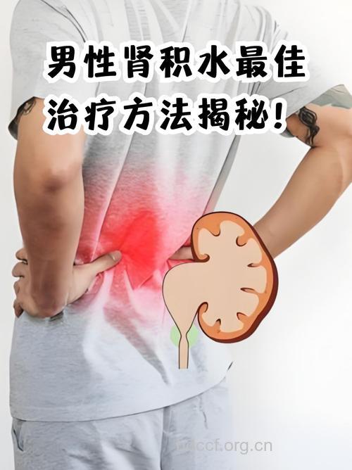 中医是怎么治肾积水的呢