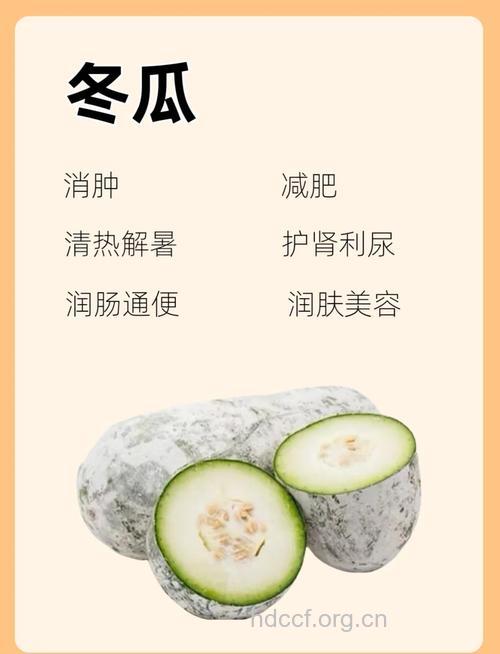 瘦身美容 夏天吃冬瓜的好处