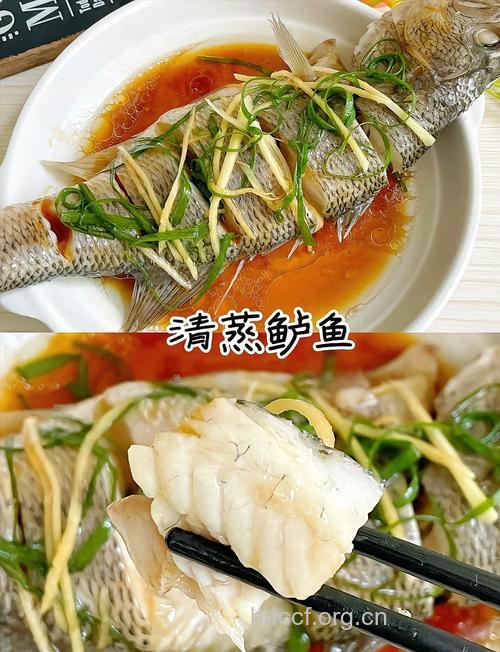 春季鲈鱼最肥美 3种清蒸鲈鱼的家常做法