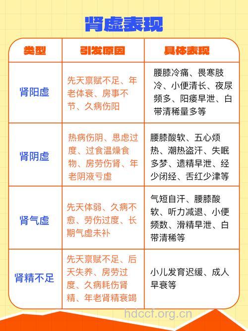肾虚的四种类型 男人为什么会肾虚