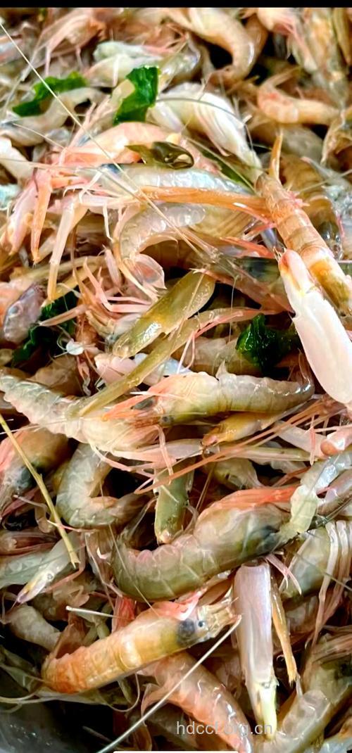 虾能补肾壮阳 男人肾虚必吃八种食物