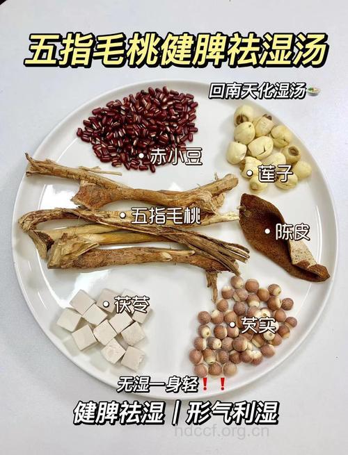 回南天湿气重 吃什么祛湿气