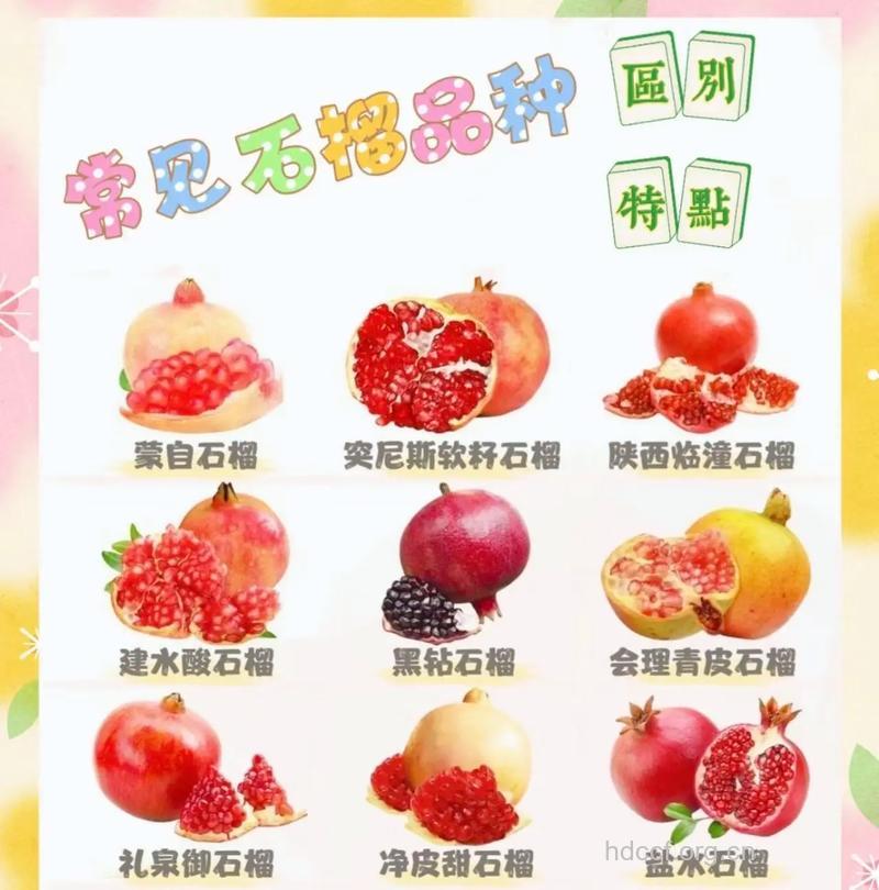 石榴和番石榴有哪些不同