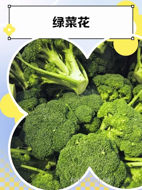 绿菜花对预防哮喘的效果怎么样