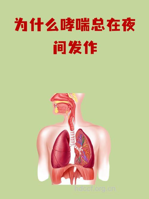 新婚之夜为什么会哮喘