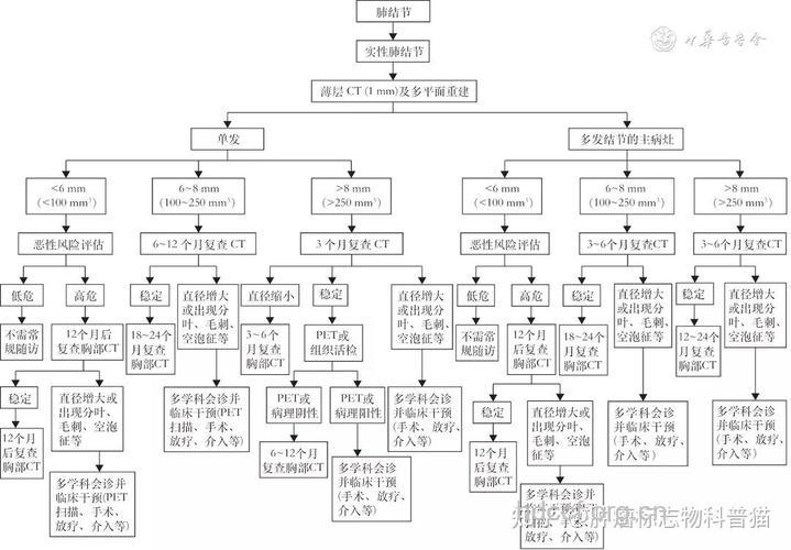 肺癌的常见诊断方法