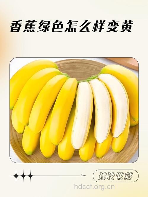 黄香蕉or绿香蕉可治便秘
