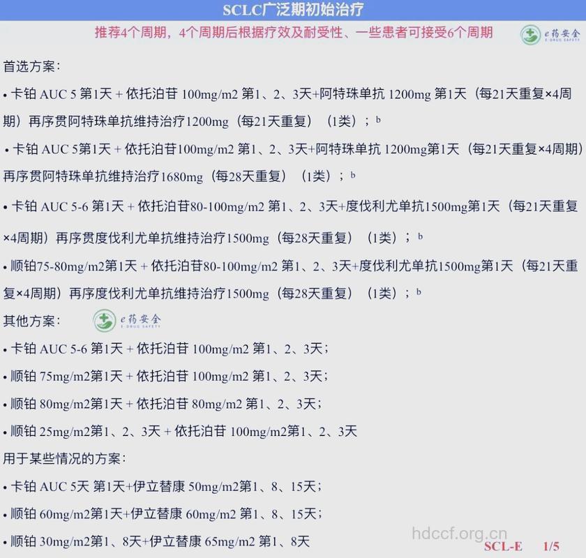 肺癌常见的化疗方案有哪些