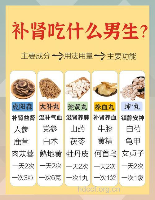 男人补肾还是中药好