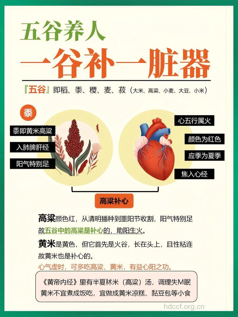 五谷养生 一谷养一脏