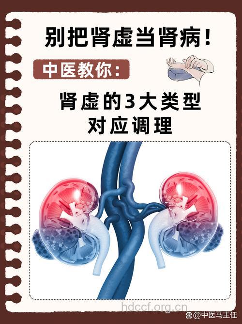 别把肾病当肾亏