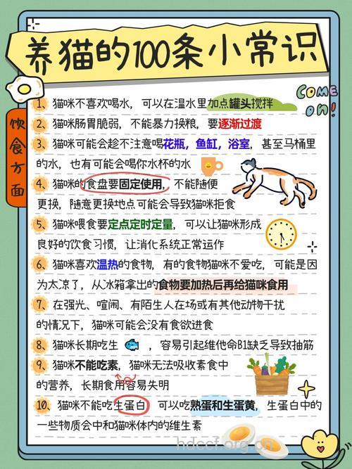 “夜猫族”的饮食保养方法