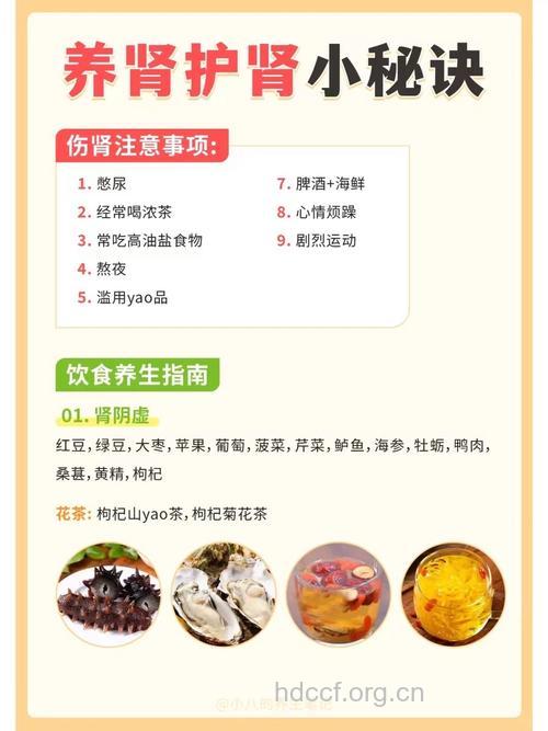 春季养肾护肾的十大秘方