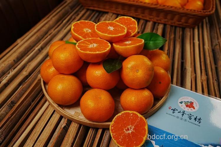 高血压吃什么 橘子鲜梅效果好