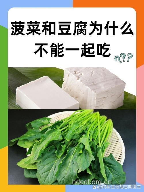 为什么豆腐和菠菜不能同煮