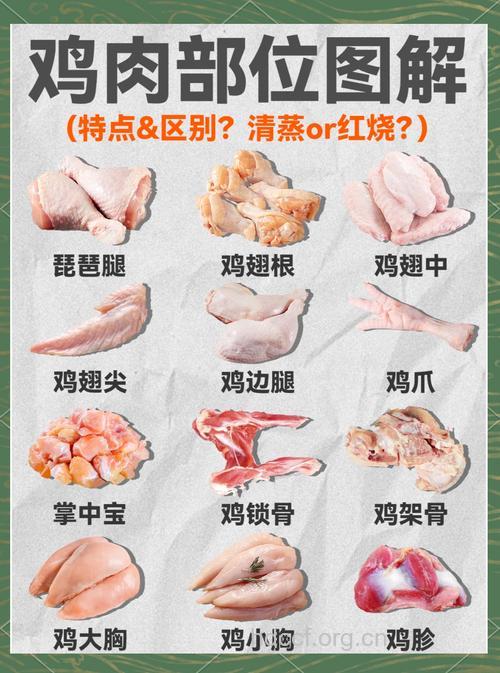 鸡鸭肉哪些部位营养 怎样吃肉最健康
