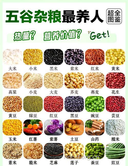 三高人群吃什么好 推荐谷物+豆类+坚果