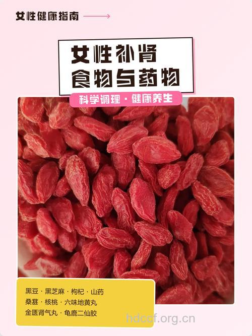 女性初冬补肾佳品推荐