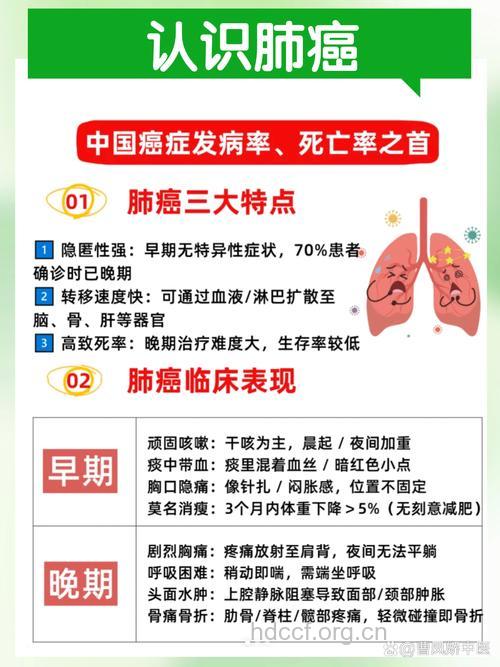 肺癌能活多久哪些人要高度预防