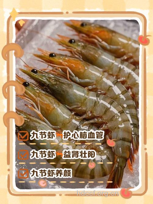 补肾的食物 吃虾可以补肾吗