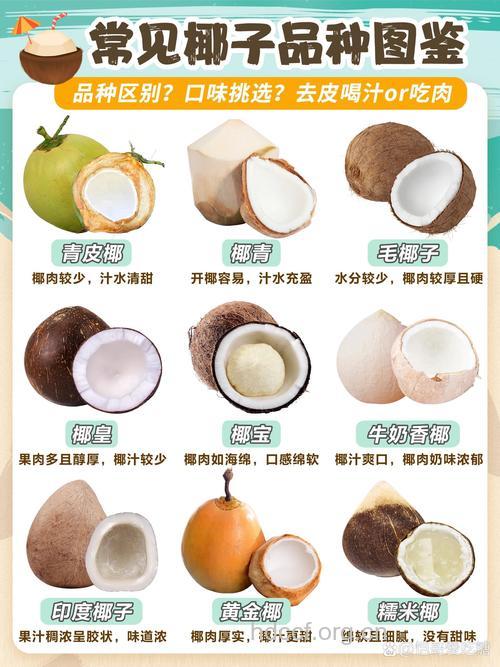 椰子怎么吃最营养