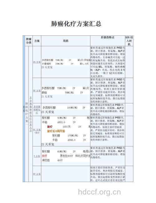 肺癌晚期有哪些化疗方案