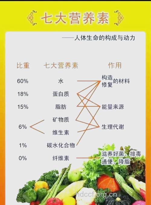 补充7种营养素 增强身体抵抗力